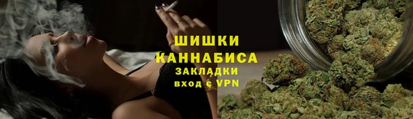 ПСИЛОЦИБИНОВЫЕ ГРИБЫ Киренск