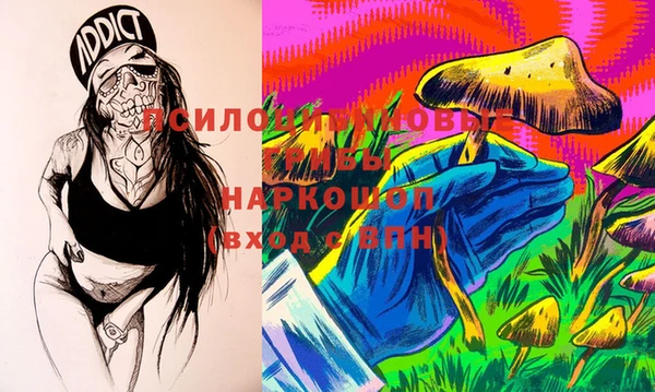 ПСИЛОЦИБИНОВЫЕ ГРИБЫ Киренск